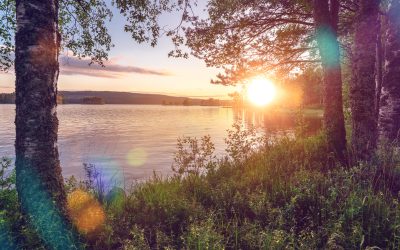 Framtidens trender inom hållbart företagande